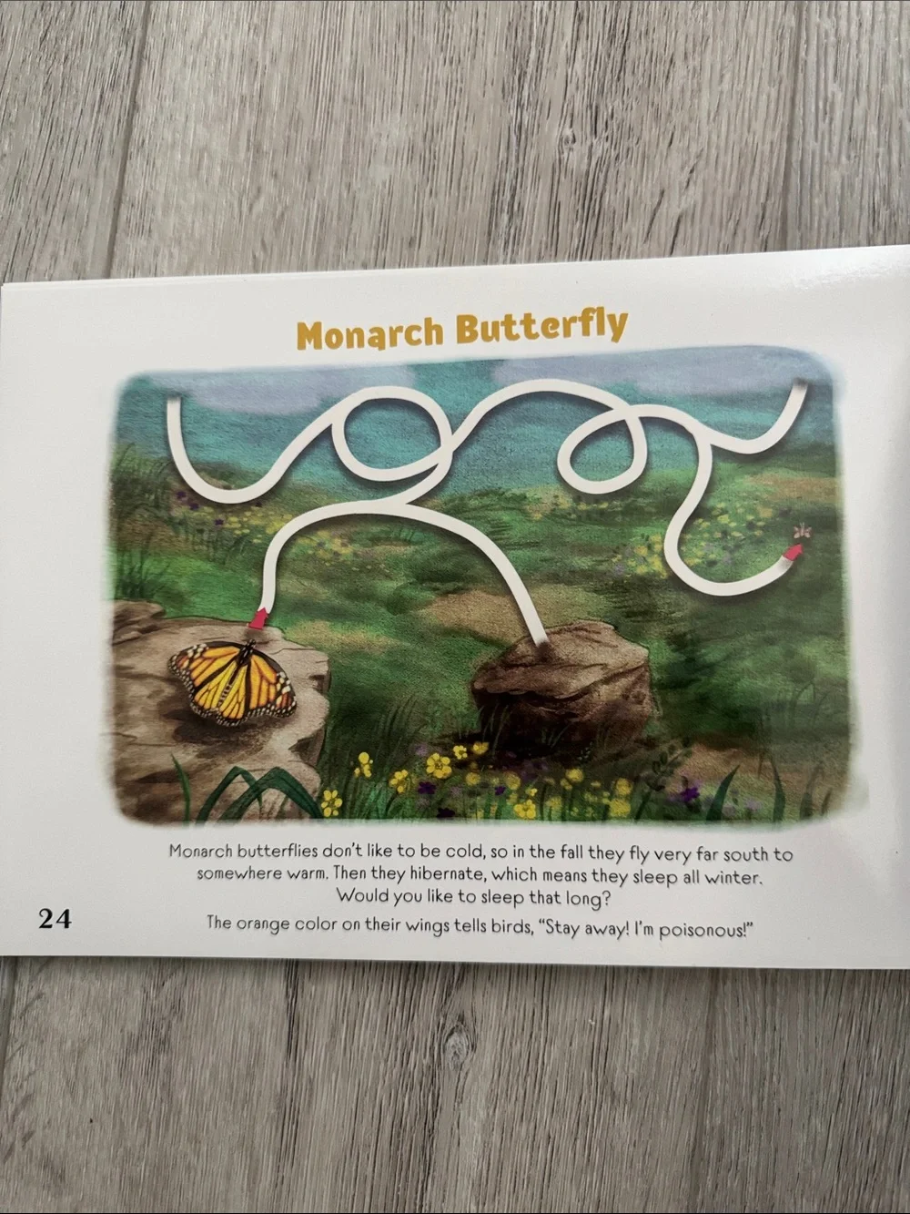 The Good and the Beautiful Insect & Spider Mazes Dry Activity Book